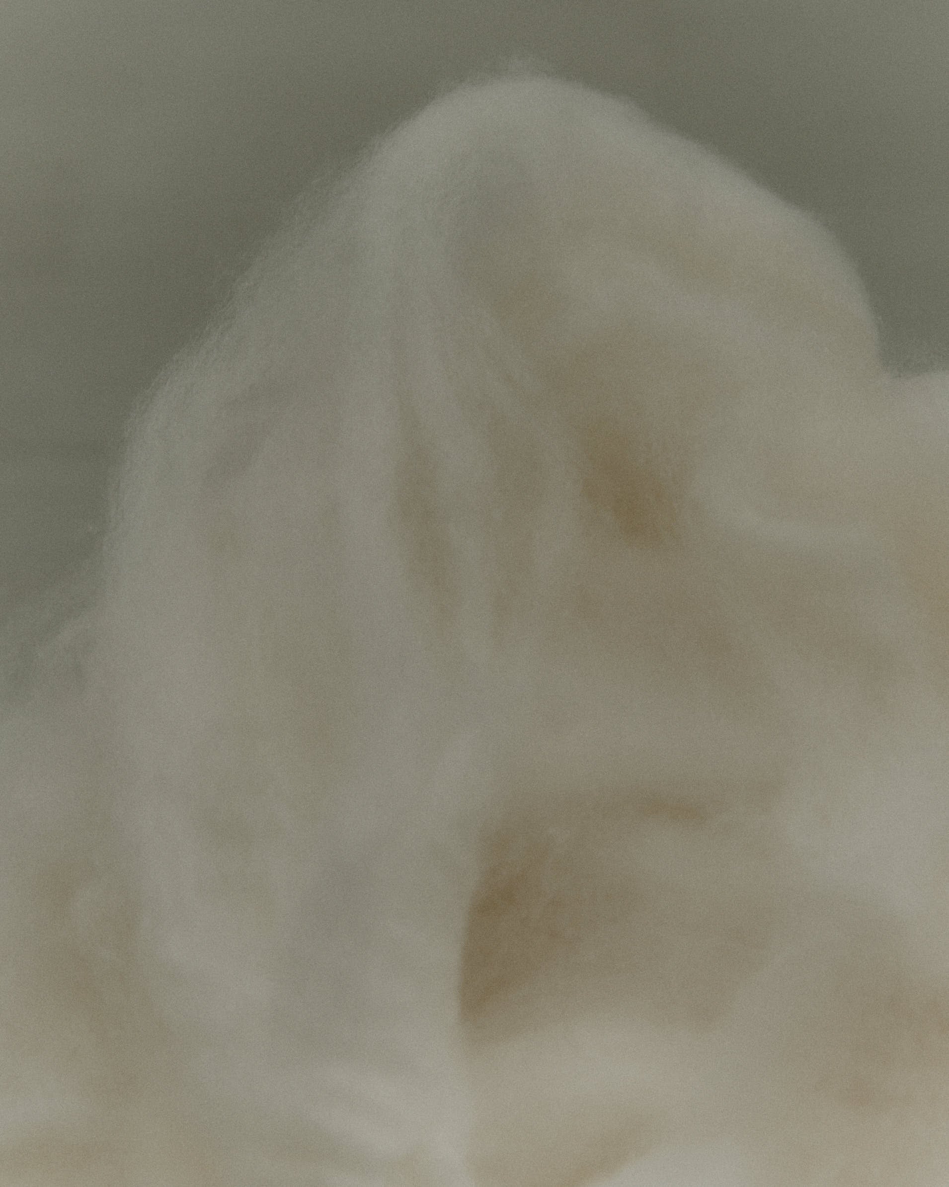 【MATERIAL】Cashmere