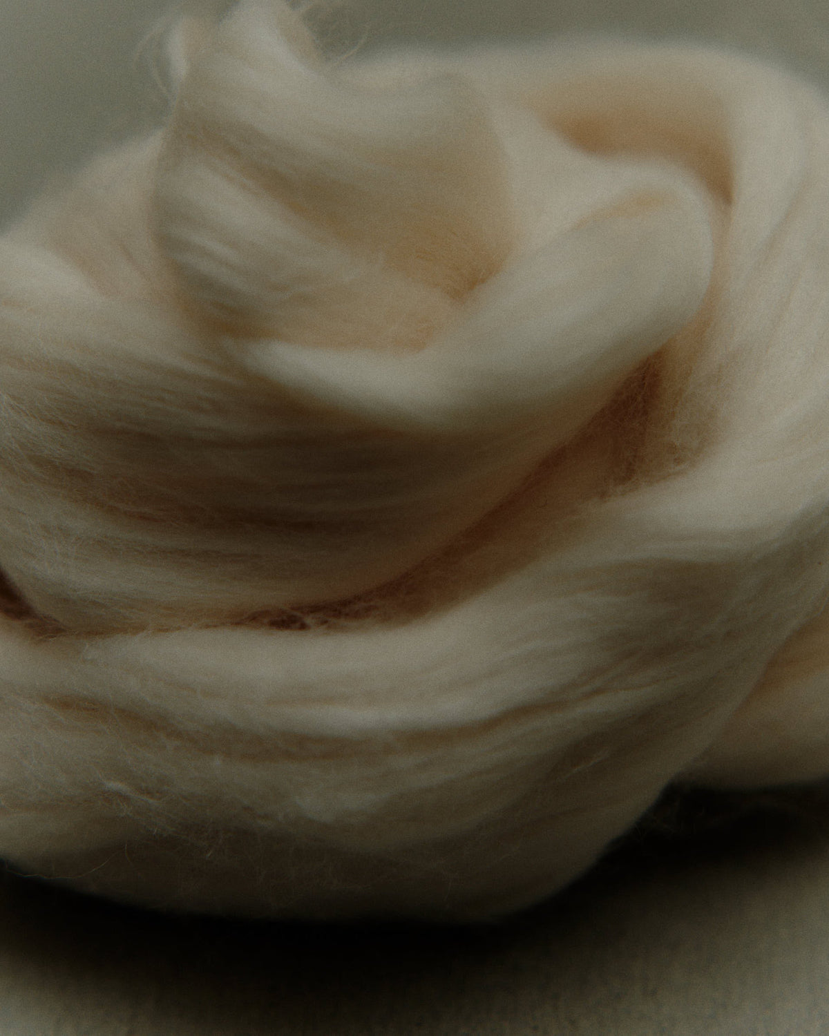 【MATERIAL】Cotton 26SS
